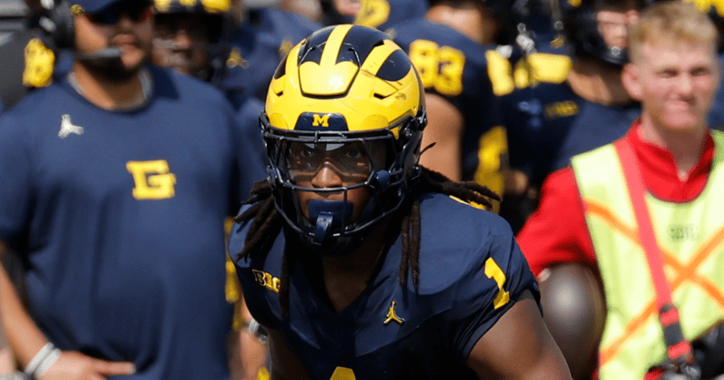 Officials-eject-Jaishawn-Barham-erase-Michigan-defensive-TD-over-controversial-targeting-call