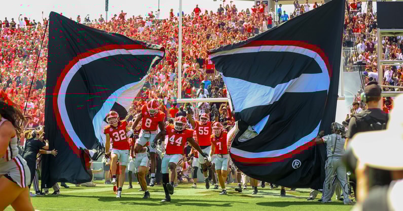 Georgia Bulldogs