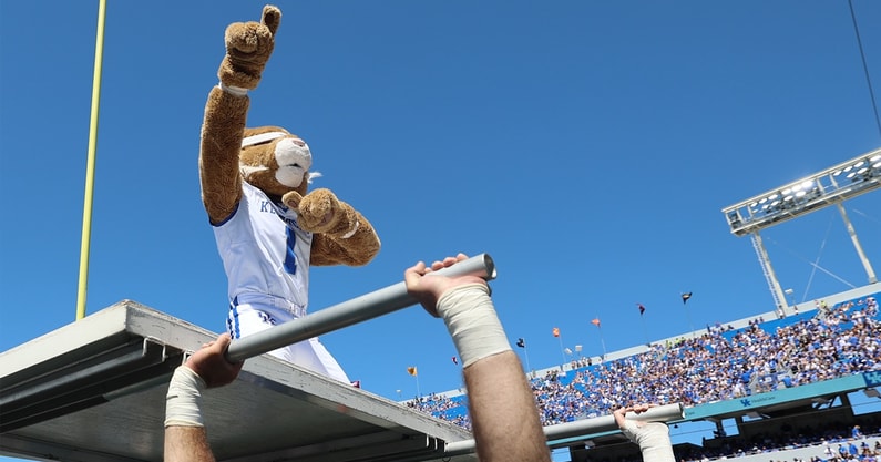wildcat-mascot-football