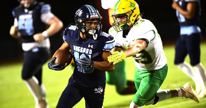 hoggard