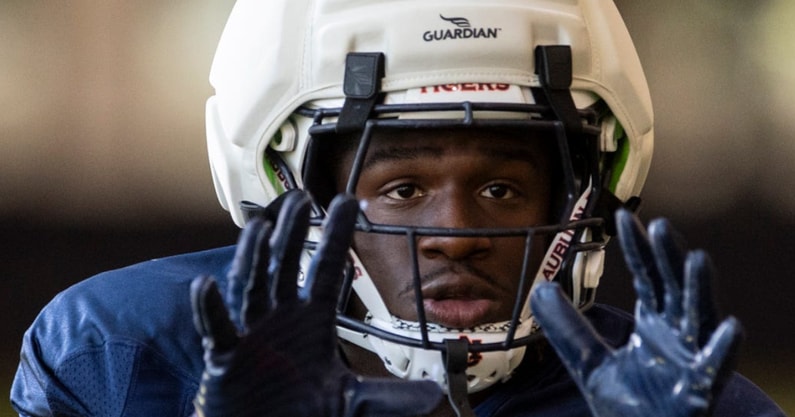 Auburn RB Damari Alston
