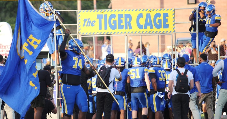Tiger Cage_TW-0856
