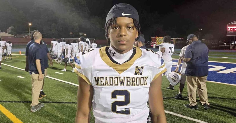 Meadowbrook Deshaun Chisem
