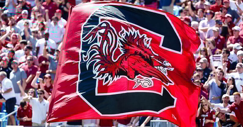 South Carolina flag