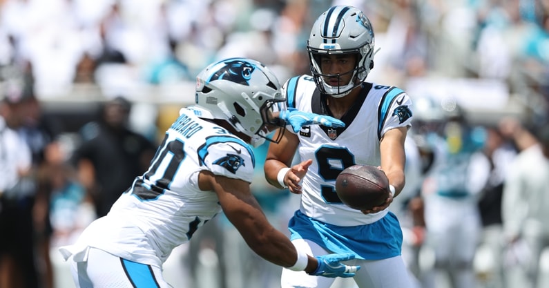Jaguars Panthers