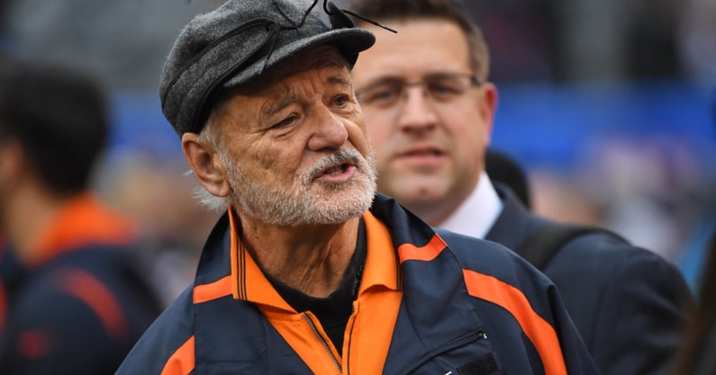 Bill Murray Bears