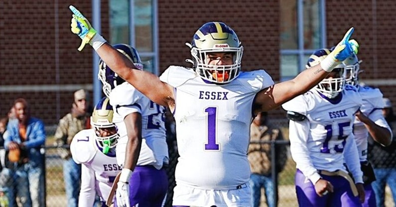 Essex ZAY Bundy
