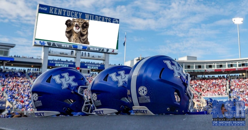 Kroger Field needs more Cats