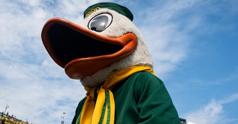 Oregon Ducks mascot Puddles