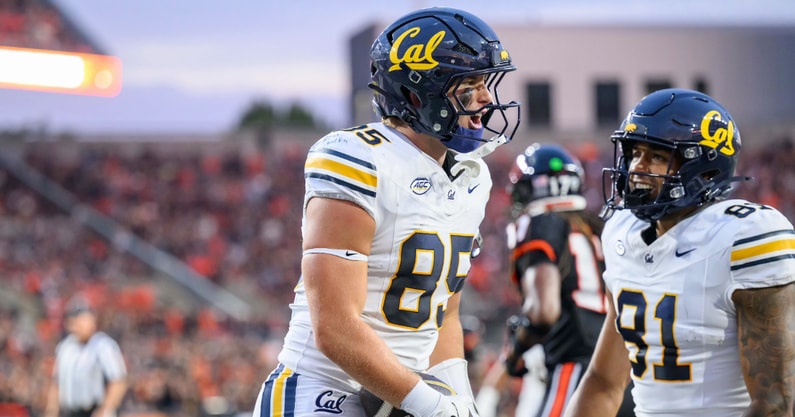 Cal tight end Mason Mini