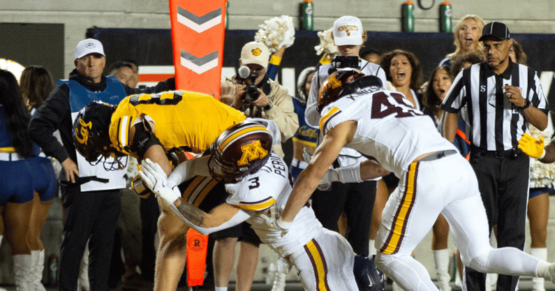 Minnesota defense