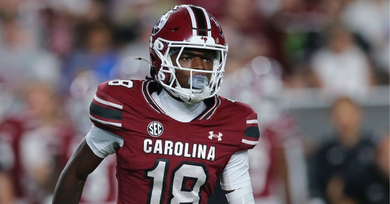 south carolina gamecocks wr brian rowe