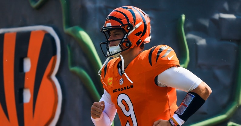 Joe Burrow (4)