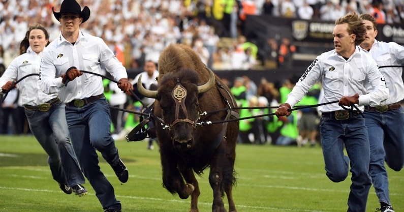 Colorado, Ralphie