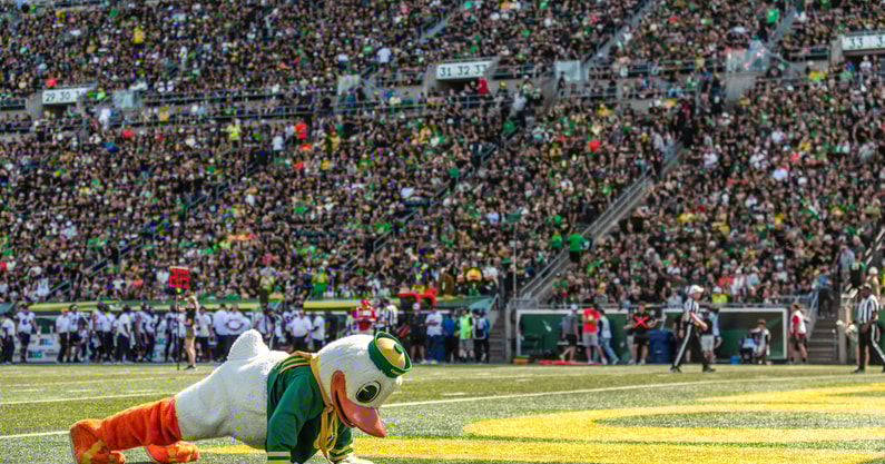 Oregon Duck