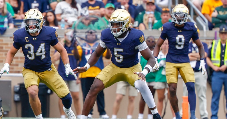 Notre Dame defensive end Boubacar Traore