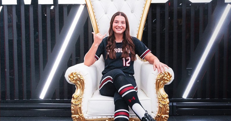 south carolina gamecocks softball