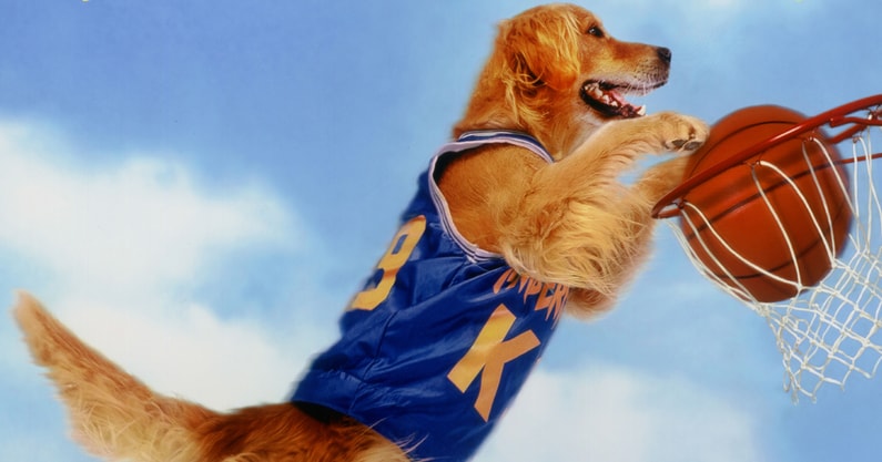 The original Air Bud, via Disney