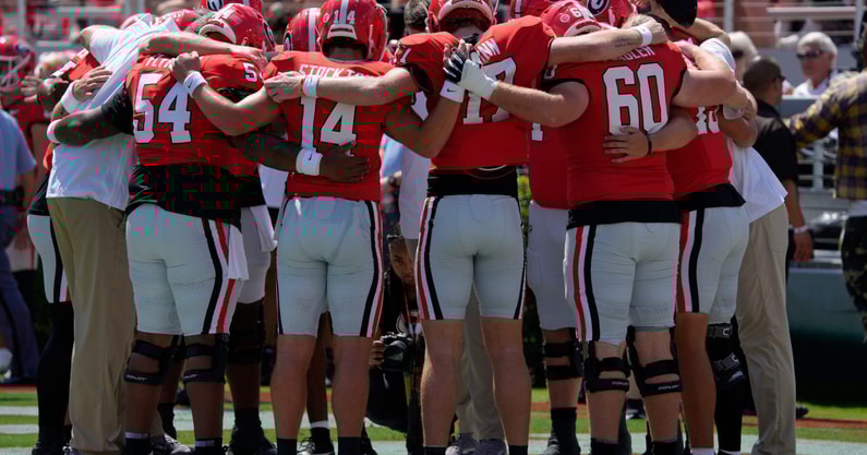 Georgia Bulldogs