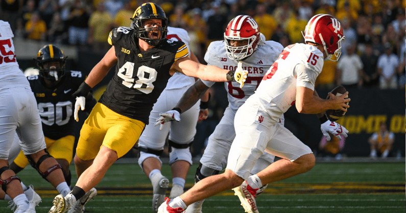 The Hawkeyes fell 20-15 to Indiana on Saturday. (Photo by Dennis Scheidt)