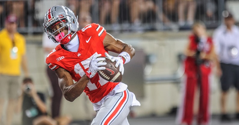 Carnell Tate Birm LR Minnesota Ohio State