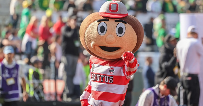 Brutus-the-Buckeye