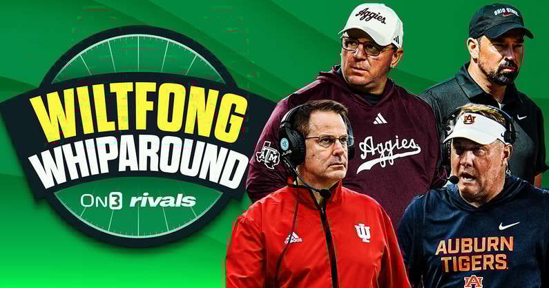 Wiltfong--Whiparound (5)