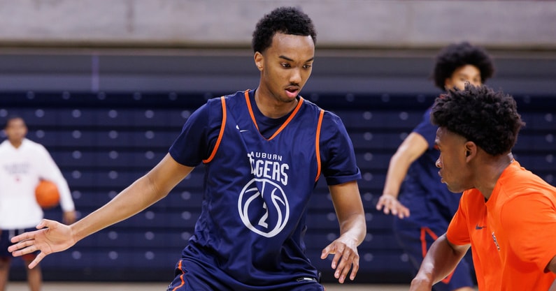 Abdul Bashir (Photo by Auburn Athletics)