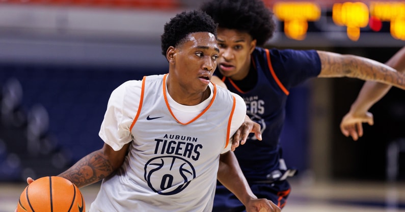 Tahaad Pettiford (Photo by Auburn Athletics)