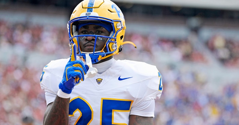 NCAA Football: Pittsburgh at Florida State