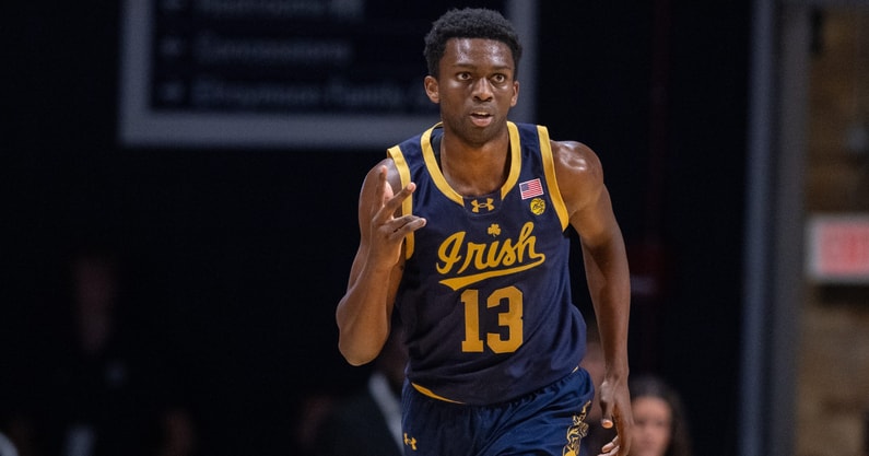 Notre Dame guard Sir Mohammed Butler