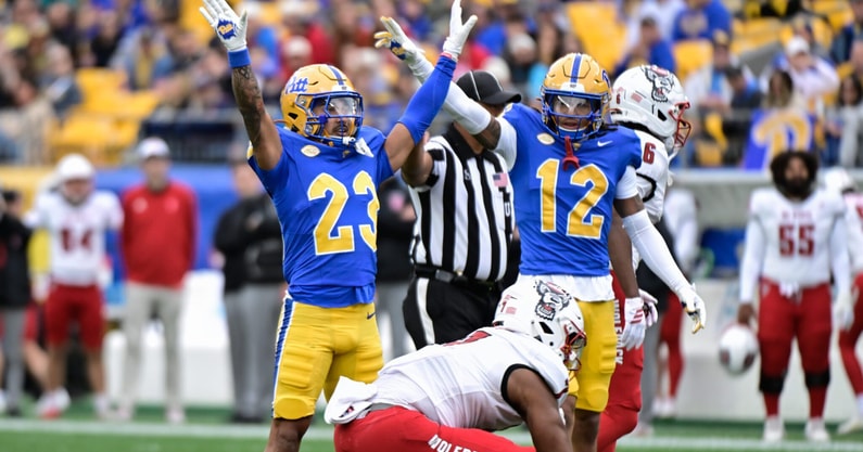 Pittdefense
