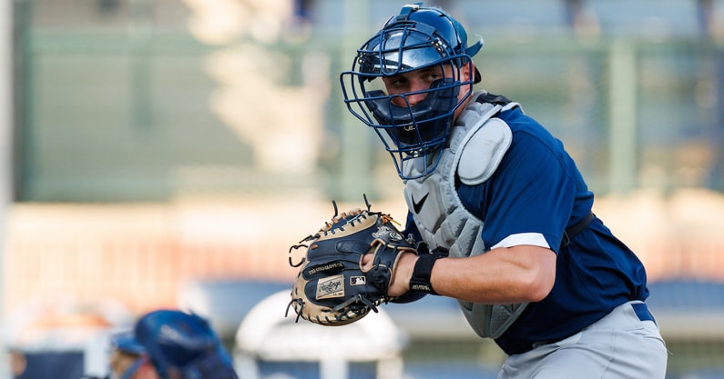 steele 1200 au 10-29-25