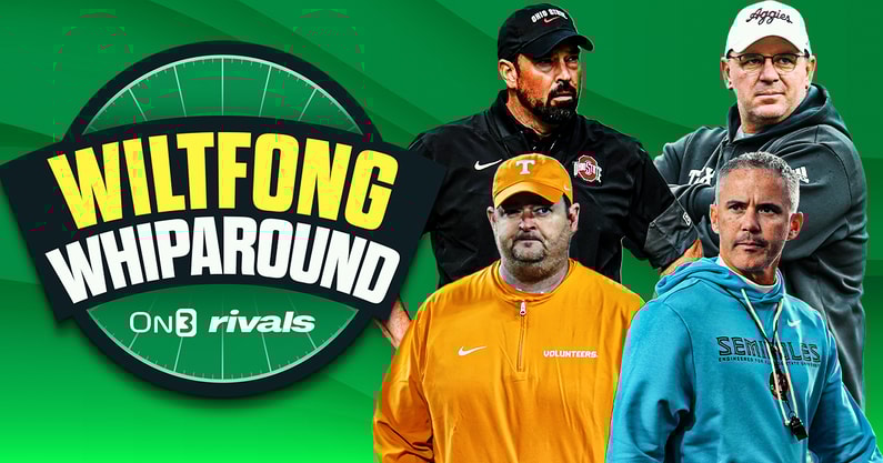 Wiltfong-Whiparound copy (13)