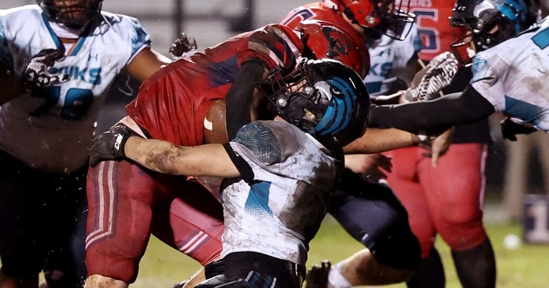 Hickory Grassfield Action Generic