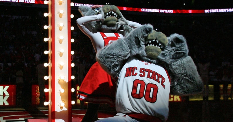 Noise meter Wolfpack