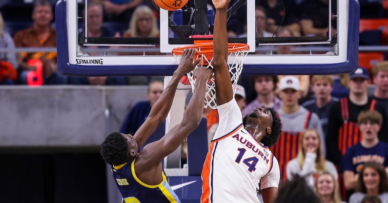 Emeka Opurum (Photo by Auburn Athletics)