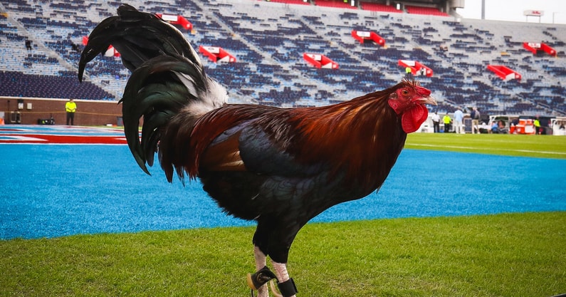 Untitled design - 2025-11-07T101724.328