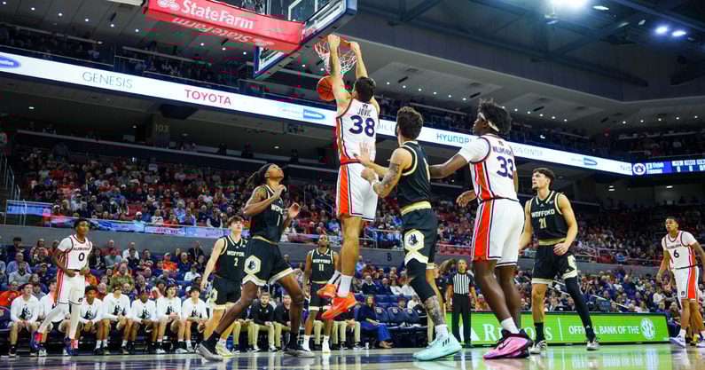 Filip Jovic (Photo by Matt Rudolph/AuburnSports)
