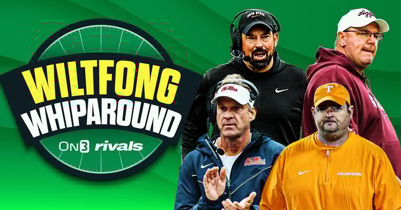 Wiltfong-Whiparound copy (15)