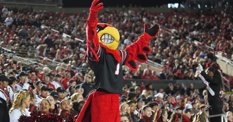 Louisville Cardinal cheers on the Cards against Boston College Saturday night at L&N Stadium. Oct. 25, 2025