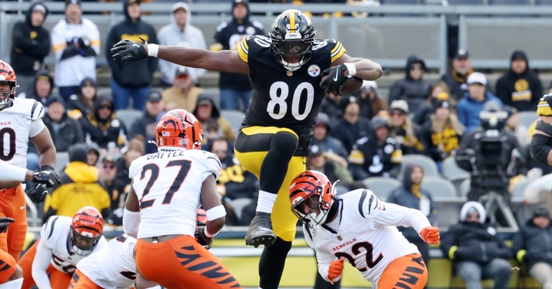 Darnell Washington, Steelers