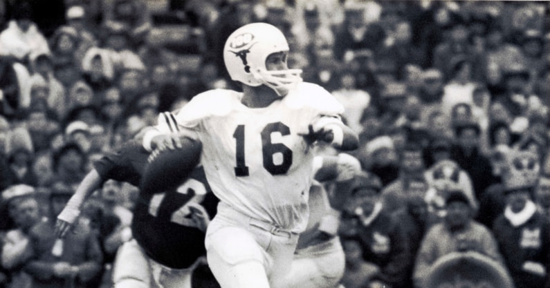 Untitled design (94)