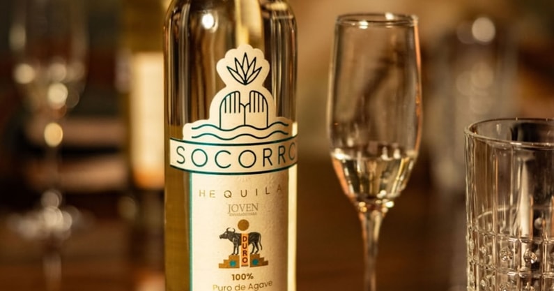 SnapInsta.to_526781043_18076017926496171_4958994059882915660_n copy