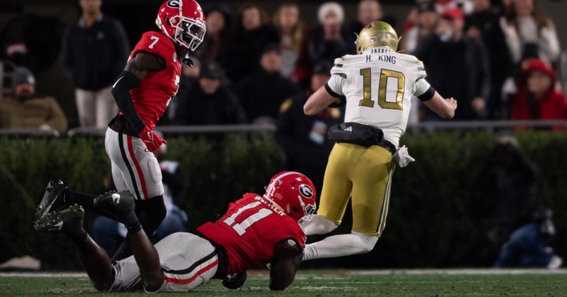 Haynes King Georgia 2024.