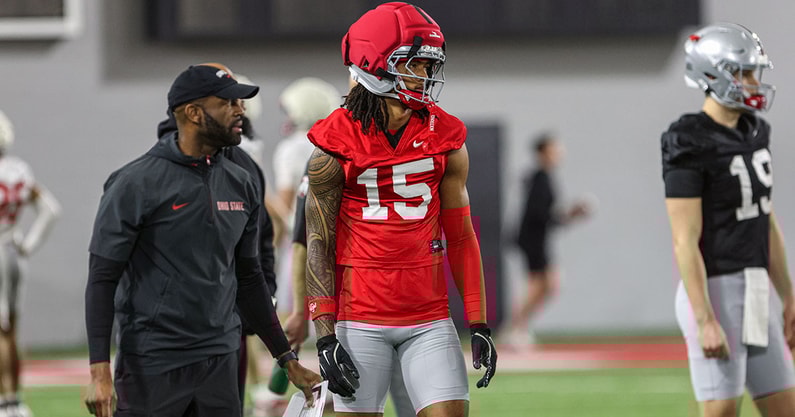 Chris-Henry-Jr-by-Birm-LR