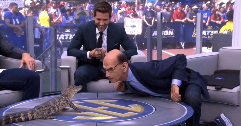 kentucky-south-carolina-will-get-sec-nation-treatment