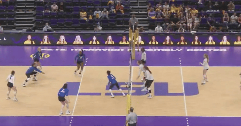 kentucky-volleyball-sweeps-lsu
