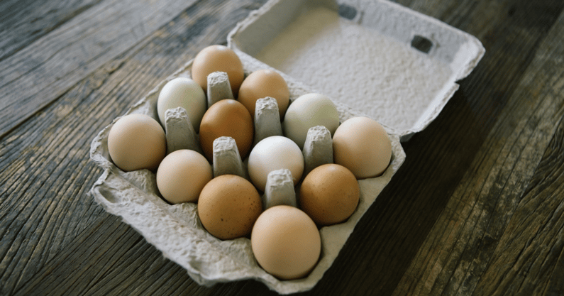 mark-stoops-needs-to-avoid-the-egg-kentucky-football