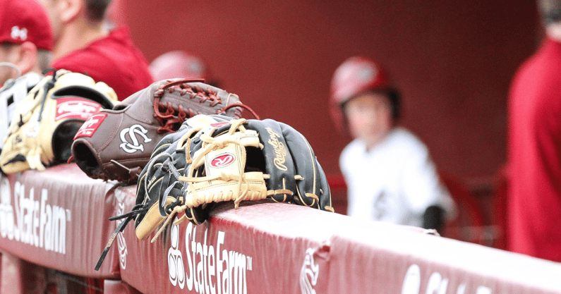 south-carolina-adds-another-pitching-piece-out-of-transfer-portal